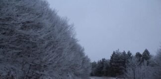 ფარავნის უღელტეხილზე ავტოტრანსპორტის მოძრაობა აკრძალულია