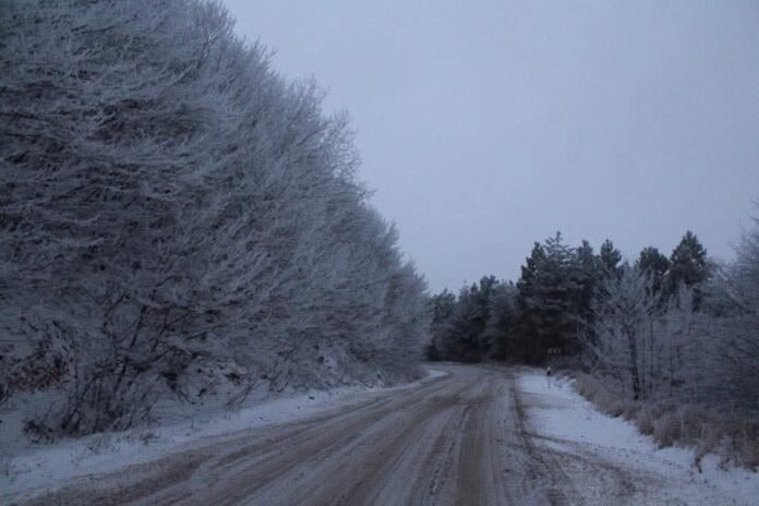 FB_IMG_1741247215331