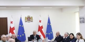 საყოველთაო ჯანმრთელობის დაცვის პროგრამის ფარგლებში პაციენტებს, მენჯ-ბარძაყის სახსრების იმპლანტებზე თანაგადახდით სარგებლობის შესაძლებლობა ექნებათ