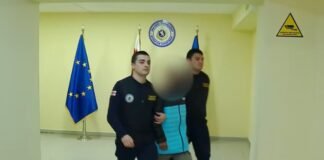 შინაგან საქმეთა სამინისტროს მიგრაციის დეპარტამენტის თანამშრომლებმა თებერვლის თვეში უცხო ქვეყნის 85 მოქალაქე საქართველოდან გააძევეს