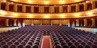 თუ თეატრის დირექტორს უმაღლესი სახელოვნებო განათლება აქვს, თეატრის სამხატვრო ხელმძღვანელის თანამდებობის შეთავსების უფლება ექნება