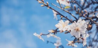 14-16 მარტს საქართველოში მოსალოდნელი ამინდი