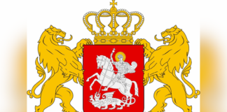 მიხეილ ყაველაშვილმა უარი თქვა სალომე ზურაბიშვილის საკონსტიტუციო სარჩელზე, რომელიც „უცხოური გავლენის გამჭვირვალობის შესახებ“ საქართველოს კანონის გაუქმებას ეხებოდა