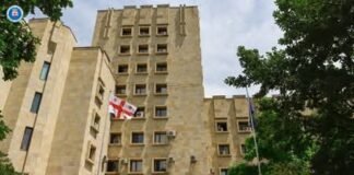 პროკურატურამ დიდი ოდენობით ნარკოტიკული საშუალების უკანონო შეძენის, შენახვის და გასაღების ფაქტზე ერთ პირს ბრალდება წარუდგინა