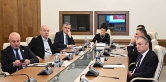 დროებითმა საგამოძიებო კომისიამ 2003-2012 წლებში პოლიტიკური თანამდებობის პირების კორუფციული გარიგებები და პირთა საკუთრების უფლებების შელახვასთან დაკავშირებული ფაქტები განიხილა