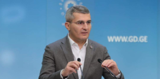 მამუკა მდინარაძე – “კოლექტიურ ნაცმოძრაობას“ კიდევ ერთხელ ექნება არჩევნებში მონაწილეობის მიღების შესაძლებლობა