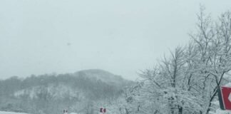 ნიჩბისი-დიდგორი-დიდი თონეთის გზაზე ავტოტრანსპორტის მოძრაობა აკრძალულია