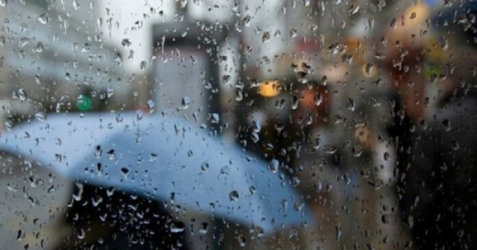 wqwqw_1200x630_50x50