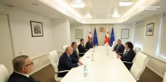 პრემიერ-მინისტრმა ხუთ რეგიონში ახალი სახელმწიფო რწმუნებულები დანიშნა