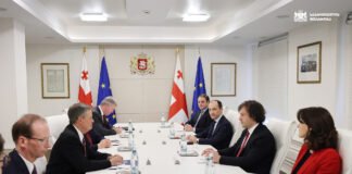 ირაკლი კობახიძე აშშ-ის სენატორ სტივ დეინსს შეხვდა