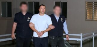 გიორგი ბაჩიაშვილი დააკავეს