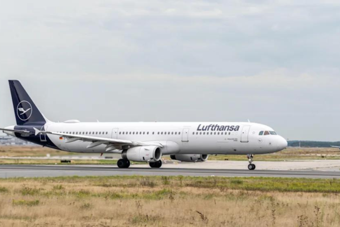 untitled-design-2025-05-17t173639-834