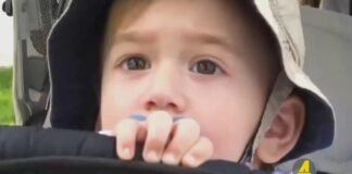 ,,ქრონიკის” დაიჯესტი 24.05.2025