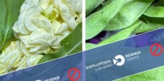 სომხეთის რესპუბლიკიდან შემოტანილი მოჭრილი ყვავილები უკან გაბრუნებას დაექვემდებარა