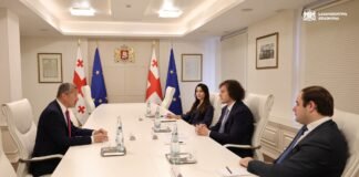 ირაკლი კობახიძე საერთაშორისო საზღვაო ორგანიზაციის (IMO) გენერალურ მდივანს, არსენიო დომინგესს შეხვდა