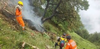 ინდოეთში ვერტმფრენს, რომელსაც მომლოცველები გადაჰყავდა, ჩრდილოეთ ინდოეთის შტატ უტარახანდში ჩამოვარდა, რის შედეგადაც, სულ მცირე, 7 ადამიანი დაიღუპა