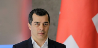 შემოსავლების სამსახურის უფროსის თანამდებობაზე ირაკლი ბერაია დაინიშნა