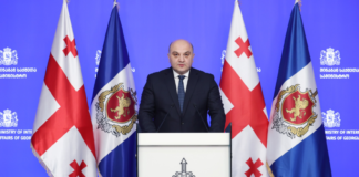 შსს ბოლო დღეებში ჩატარებული ოპერატიული და საგამოძიებო მოქმედებების შესახებ ინფორმაციას ავრცელებს