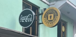 სალმონელა შაურმაში