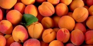 სურსათის ეროვნული სააგენტოს განცხადება