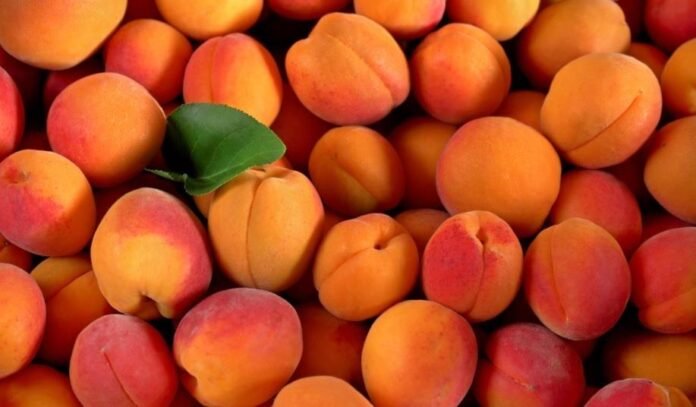 81244_peach_getty_32839