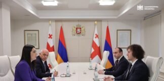 ირაკლი კობახიძე სომხეთის რესპუბლიკის შინაგან საქმეთა მინისტრ არპინე სარგსიანს შეხვდა