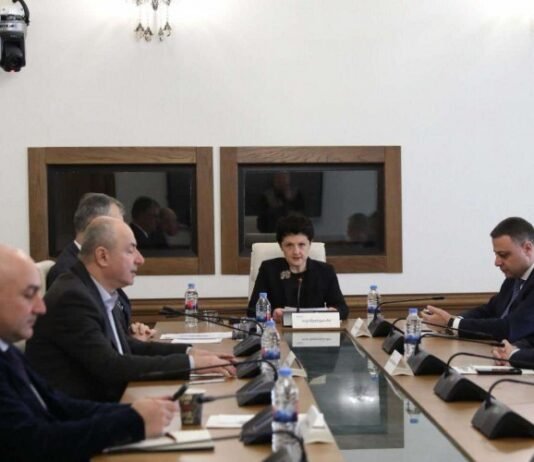 პარლამენტის დროებითმა საგამოძიებო კომისიამ 430 გვერდისგან შემდგარი დასკვნის პროექტი წარადგინა