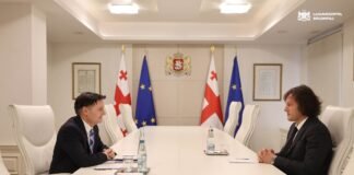 ირაკლი კობახიძე გაეროს მუდმივ კოორდინატორს საქართველოში დიდიე ტღებიუკს შეხვდა