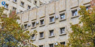 პროკურატურამ ცხოველისადმი ძალადობის ფაქტზე, რამაც მისი სიკვდილი გამოიწვია და ცეცხლსასროლი იარაღის მართლსაწინააღმდეგო შეძენა-შენახვის ფაქტებზე ერთ პირს ბრალდება წარუდგინა