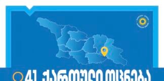 რუსთავის საკრებულოში „ქართული ოცნების“ მაჟორიტარი დეპუტატობის კანდიდატები