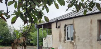 ლაგოდეხის მუნიციპალიტეტის რამდენიმე სოფელში უამინდობამ პრობლემები შექმნა შექმნა