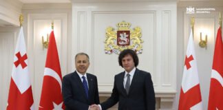 ირაკლი კობახიძე თურქეთის შინაგან საქმეთა მინისტრს ალი იერლიქაიას შეხვდა