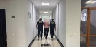 საგამოძიებო სამსახურმა ქრთამის აღების ფაქტზე სურსათის ეროვნული სააგენტოს თანამშრომელი დააკავა