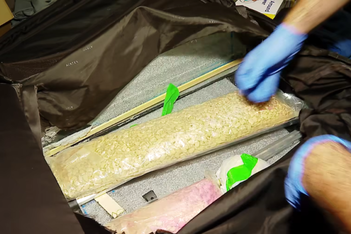 dataimagejpeg-2025-09-17t104326-683