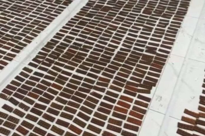 imedi-poto-2025-09-04t125212-094