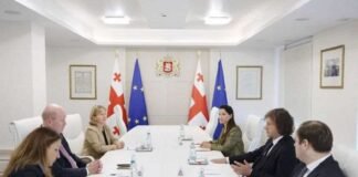 საქართველოს პრემიერ-მინისტრი BP-ის რეგიონულ პრეზიდენტს შეხვდა