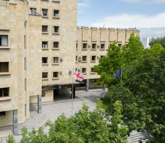 პროკურატურამ განსაკუთრებით დიდი ოდენობით ნარკოტიკული საშუალების უკანონო შეძენის, შენახვისა და რეალიზაციის ხელშეწყობის ფაქტზე უცხო ქვეყნის მოქალაქეს ბრალდება წარუდგინა