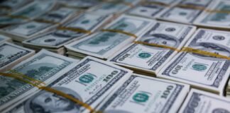 საგამოძიებო სამსახურმა უკანონო სამეწარმეო საქმიანობის განხორციელებისა და უკანონო შემოსავლების ლეგალიზაციის ფაქტზე ხუთი პირი დააკავა