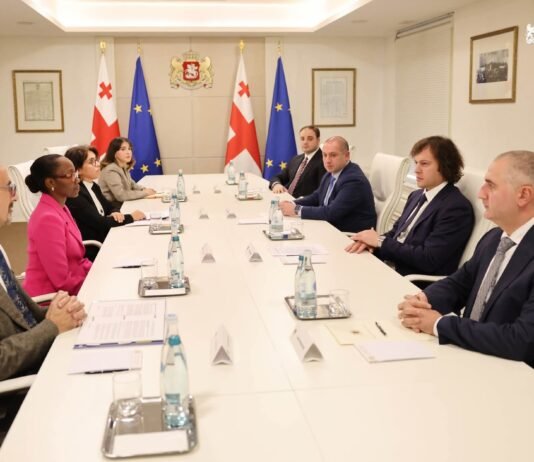 საქართველოს პრემიერ-მინისტრი ირაკლი კობახიძე მსოფლიო ბანკის რეგიონულ დირექტორს სამხრეთ კავკასიაში როლანდ პრაისს და მსოფლიო ბანკის გლობალურ დირექტორს განათლების მიმართულებით, ლუის ბენვენისტეს შეხვდა