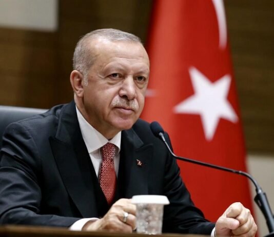 ერდოღანის განცხადებით, საქართველოში ჩამოვარდნილი თურქული თვითმფრინავის შავი ყუთი ნაპოვნია