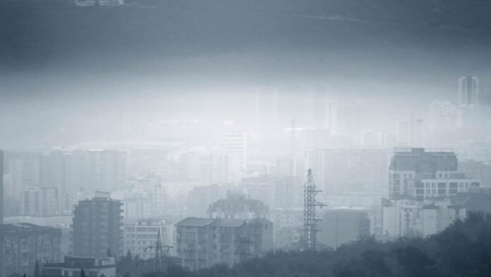 1ebd56f3-149b-4351-a06f-20caa73e43bd-2024-02-16_14-08-24_622677