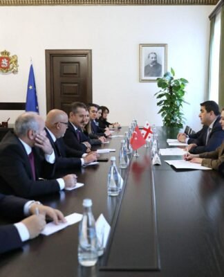 შალვა პაპუაშვილი თურქეთის რესპუბლიკის დიდი ეროვნული ასამბლეის დელეგაციას შეხვდა