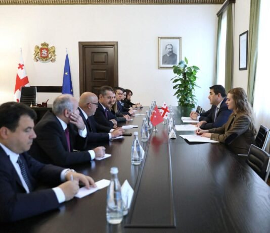 შალვა პაპუაშვილი თურქეთის რესპუბლიკის დიდი ეროვნული ასამბლეის დელეგაციას შეხვდა