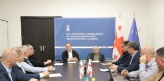 დევნილთა სააგენტო იძულებით გადაადგილებულ 300 ოჯახს სახლს შეუსყიდის