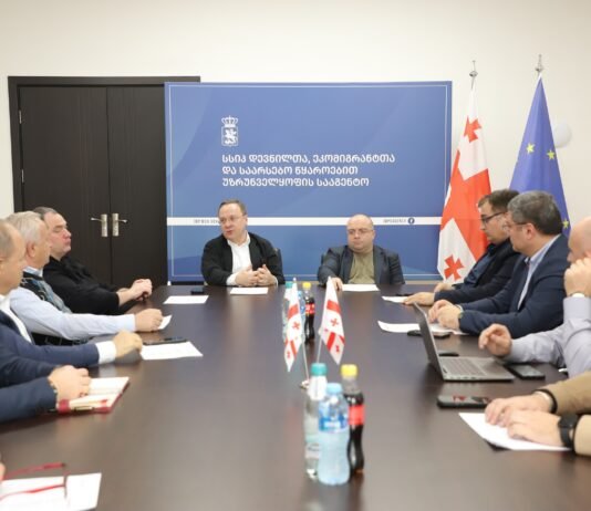 დევნილთა სააგენტო იძულებით გადაადგილებულ 300 ოჯახს სახლს შეუსყიდის