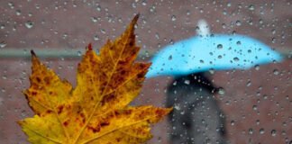 15-17 ნოემბერს საქართველოში მოსალოდნელი ამინდი