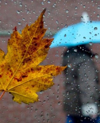 15-17 ნოემბერს საქართველოში მოსალოდნელი ამინდი