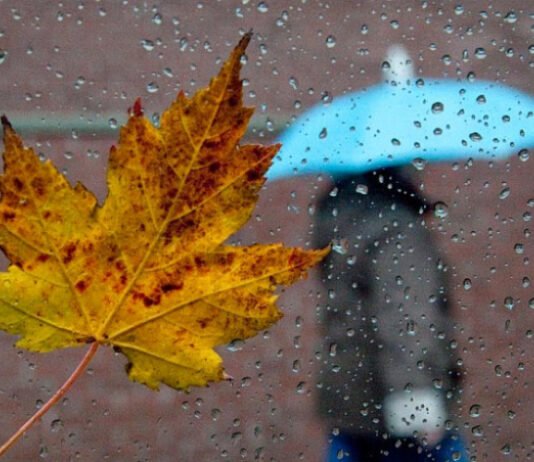 15-17 ნოემბერს საქართველოში მოსალოდნელი ამინდი