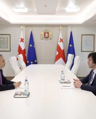 ირაკლი კობახიძე საქართველოში ისრაელის სახელმწიფოს ახლად დანიშნულ ელჩს, ვალიდ აბუ ჰაიას შეხვდა