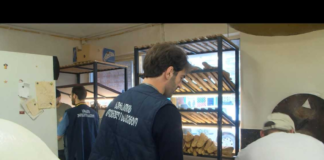 სურსათის ეროვნული სააგენტო სკოლების მიმდებარედ არსებულ კვების ობიექტებს ამოწმებს